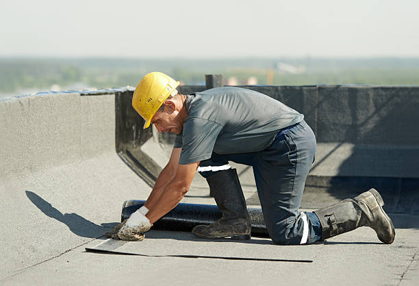 Professional Insulation Contractor in Bronson, MI
