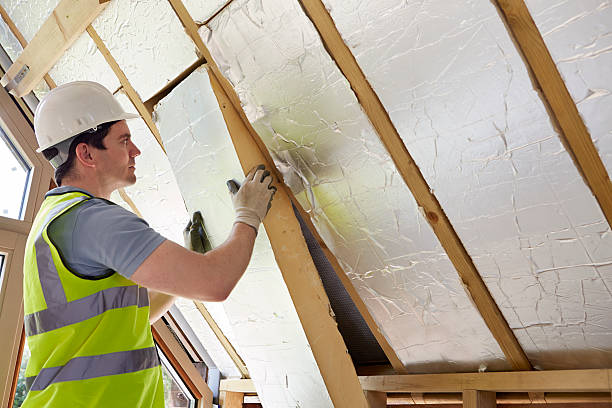 Best Eco-Friendly Insulation in Bronson, MI